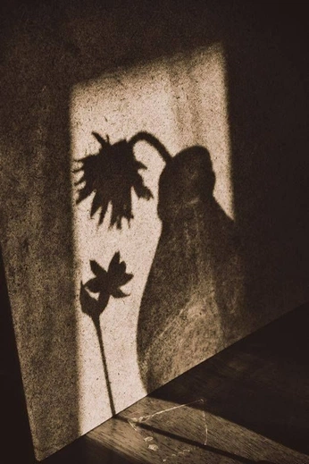 A cover of "dancing in the night" cluster. The owner is tamardror. The cluster consists of 36 elements.