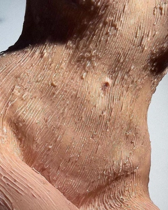 A cover of "taller metamorfosis" cluster. The owner is fernvnd4. The cluster consists of 6 elements.