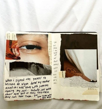 A cover of "Procesboek" cluster. The owner is lientje. The cluster consists of 6 elements.