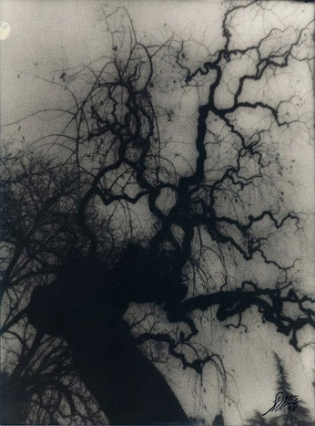 A cover of "ethel zine" cluster. The owner is solaresido. The cluster consists of 48 elements.