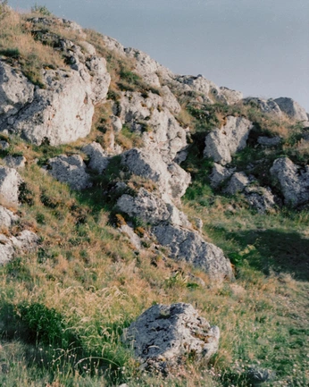 A cover of "background reffrence" cluster. The owner is akwarkblue. The cluster consists of 3 elements.