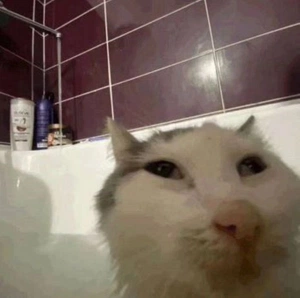 Paulo Ziviane de Oliveira avatar