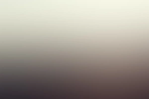 Meredith Bell avatar