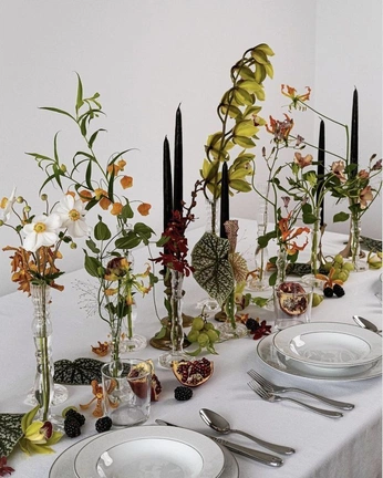 A cover of "Garden Dinner Party" cluster. The owner is kressina. The cluster consists of 13 elements.