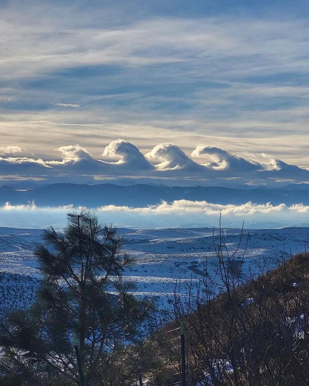 An Instagram carousel post added by colindancel on Jul 27, 2023. The author is @saint.