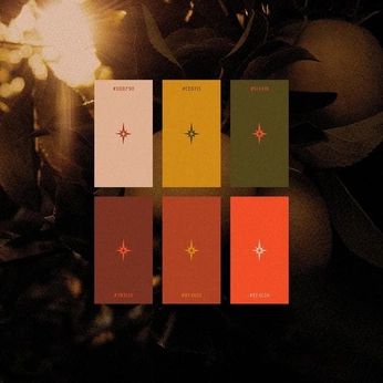 A cover of "Color Pallets" cluster. The owner is tabor.cote. The cluster description is "Various Color Palletes I have found appealing". The cluster consists of 77 elements.