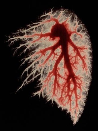 A cover of "colour" cluster. The owner is rrachnguyen. The cluster consists of 294 elements.