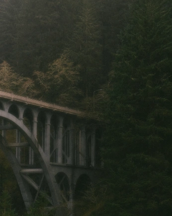 A cover of "through my eyes" cluster. The owner is aaronletchr. The cluster consists of 4 elements.