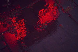 Leandro Gravallos avatar