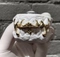 Cover of GRILLZ cluster