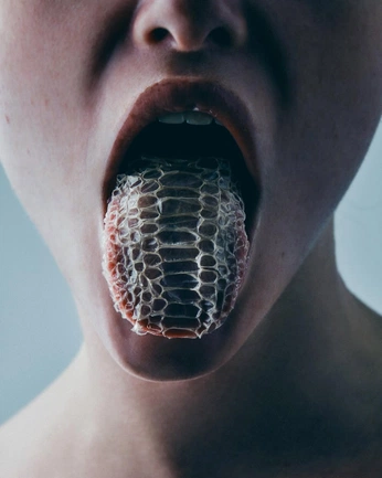 A cover of "Tounge" cluster. The owner is liu2323. The cluster consists of 9 elements.