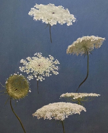 A cover of "landscape" cluster. The owner is vickstarr. The cluster consists of 7 elements.