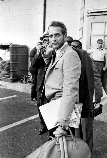 A cover of "Farcion" cluster. The owner is nelli. The cluster consists of 88 elements.