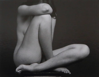 A cover of "CROQUIS" cluster. The owner is ambree. The cluster description is "Model vivant et proportions". The cluster consists of 36 elements.