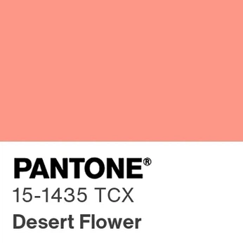 A cover of "Pantone, Desert Flower" cluster. The owner is sarahlindsay. The cluster description is "PANTONE 15-1435 Desert Flower / #FF9687 - References for Inspiration". The cluster consists of 39 elements.