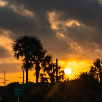 A cover of "tropical" cluster. The owner is jakey. The cluster consists of 10 elements.