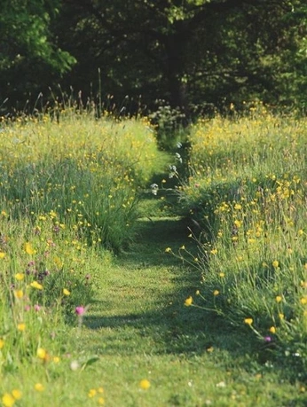 A cover of "samu" cluster. The owner is wrypalo. The cluster consists of 17 elements.