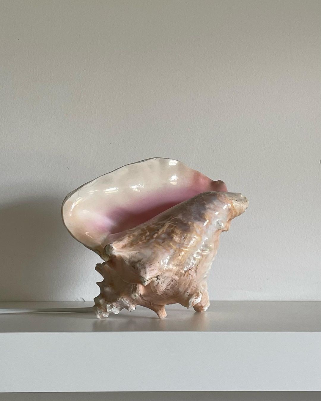 An Instagram carousel post added by maaaaaasshhaa on May 10, 2024. The author is @miara.vintage.