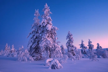 A cover of "north" cluster. The owner is i4685. The cluster consists of 40 elements.