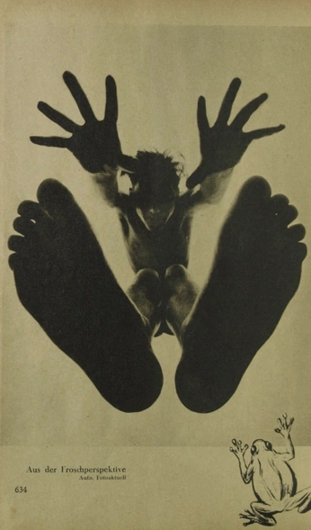 A cover of "inspo angles" cluster. The owner is diana7. The cluster consists of 12 elements.