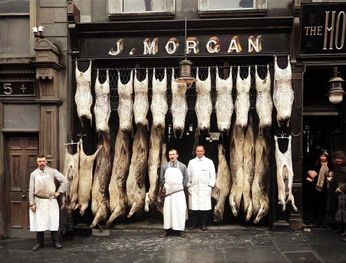 A cover of "Meat Market" cluster. The owner is cody.whitmer. The cluster consists of 17 elements.