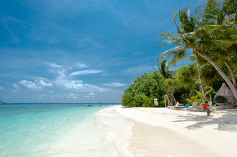 A cover of "Matte BEACH" cluster. The owner is blackroster. The cluster consists of 105 elements.