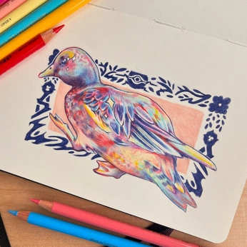 A cover of "Drawing" cluster. The owner is alex.studio111. The cluster consists of 7 elements.