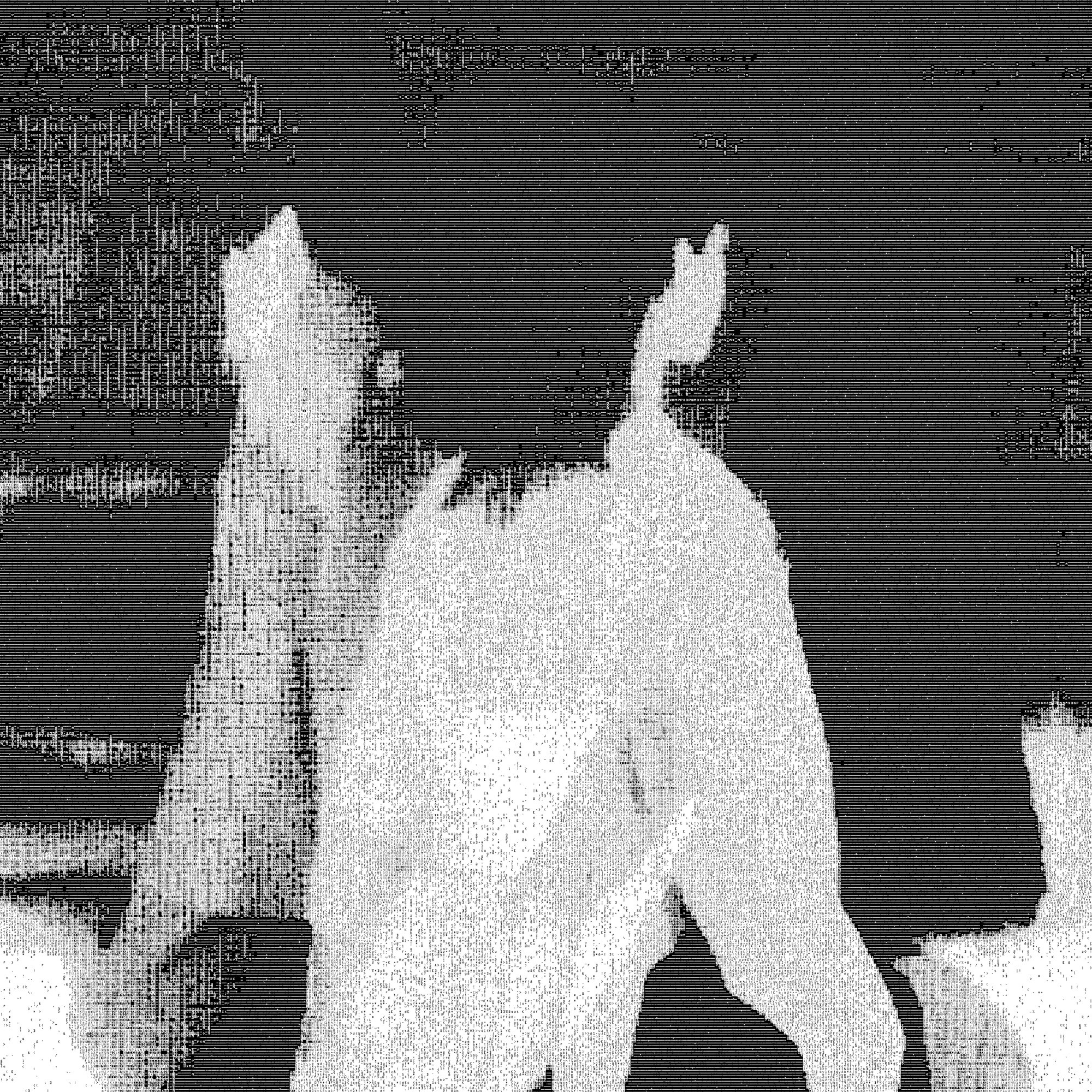 graphic-design