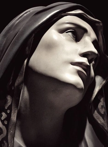 A cover of "Sculpture" cluster. The owner is burenda. The cluster consists of 1 element.