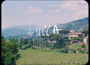 A cover of "wedding videography" cluster. The owner is elalla. The cluster consists of 5 elements.