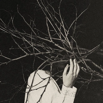 A cover of "weirdness" cluster. The owner is freshoutoffckss. The cluster consists of 83 elements.