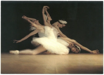 A cover of "spirit animal" cluster. The owner is archangelic. The cluster consists of 1 element.