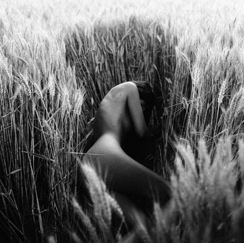 A cover of "fever dream" cluster. The owner is reverieq. The cluster consists of 15 elements.