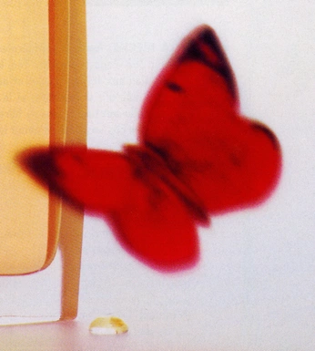 A cover of "Nay Ture ?" cluster. The owner is rhdeboy. The cluster consists of 42 elements.