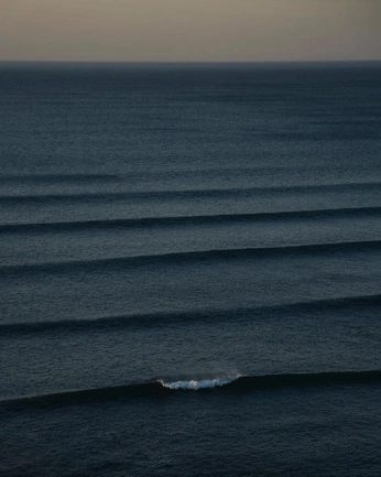 A cover of "Photography Brand" cluster. The owner is anneesoph. The cluster consists of 48 elements.