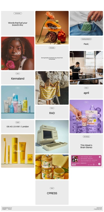 A cover of "Web design inspo" cluster. The owner is shannon. The cluster consists of 5 elements.