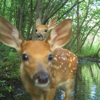 A cover of "Beautiful Nature" cluster. The owner is chaaadli. The cluster consists of 19 elements.