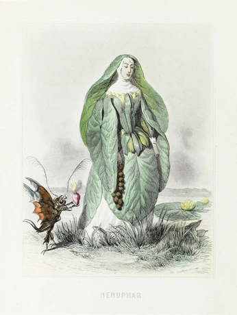 A cover of "Public Domain" cluster. The owner is diana7. The cluster consists of 21 elements.