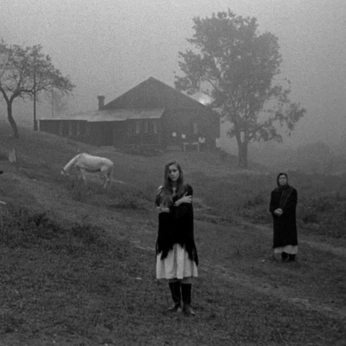 A cover of "faces" cluster. The owner is skullskwatt. The cluster consists of 81 elements.