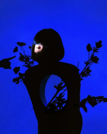 A cover of "Art" cluster. The owner is jasmineplus. The cluster consists of 2 elements.