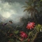 Cover of Tropical (1... cluster