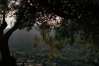 A cover of "Nature" cluster. The owner is relak. The cluster consists of 6 elements.