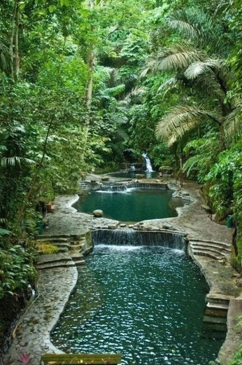 A cover of "Water Feature" cluster. The owner is voulucreative. The cluster consists of 1 element.