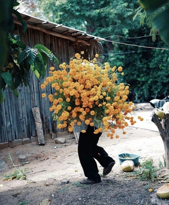 A cover of "summer" cluster. The owner is nichy. The cluster consists of 45 elements.