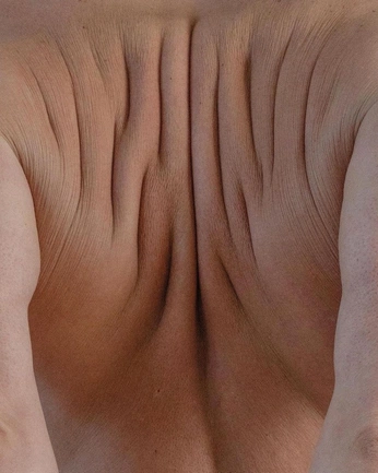 A cover of "Justyna" cluster. The owner is solargaleria. The cluster consists of 33 elements.