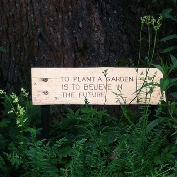 A cover of "Cosmic Gardens" cluster. The owner is jojopotato. The cluster consists of 37 elements.