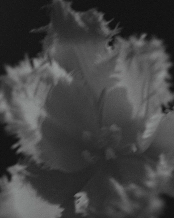 A cover of "hwtdo" cluster. The owner is andrenikulin. The cluster consists of 1 element.