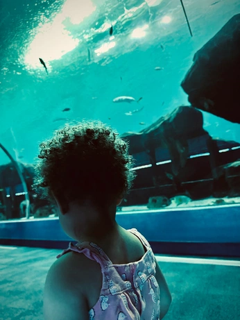 A cover of "Wild At Heart" cluster. The owner is cosmos6. The cluster consists of 53 elements.