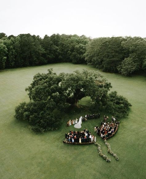Aerial photograph of an outdoor Wedding Ceremony by Kayleigh Taylor Photography.