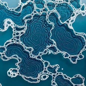 A cover of "textures.webdev" cluster. The owner is crowo. The cluster consists of 7 elements.